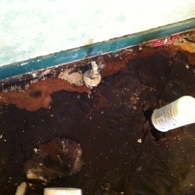 This is tar paper but underneath is a rotted floor. It was really, really bad.